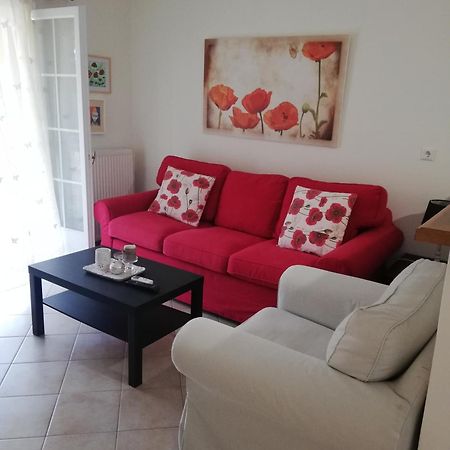 Sunny Stay Furnished Apartment In Kanoni Екстер'єр фото