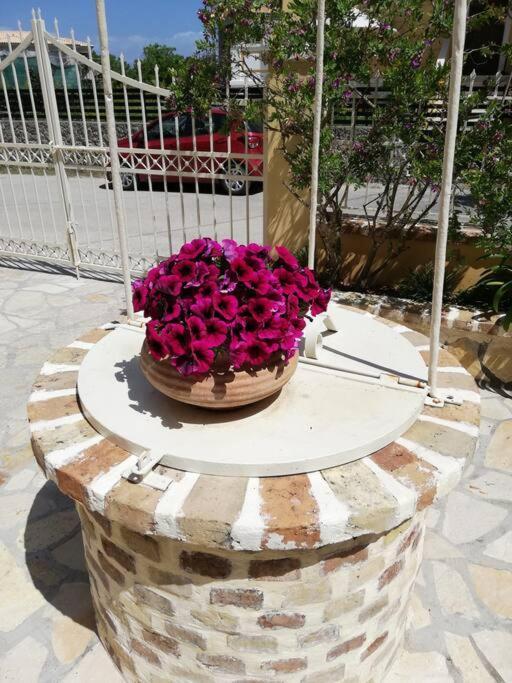 Sunny Stay Furnished Apartment In Kanoni Екстер'єр фото